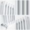 Radiateur style fonte vertical – Blanc – 180 cm x 38 cm – Double rang – Windsor