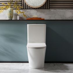 Pack WC à poser – Avec abattant à fermeture douce – Choix de finitions du bouton de chasse d'eau – Colby