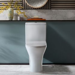 Cuvette à poser – Avec abattant à fermeture douce – Choix de finitions du bouton de chasse d'eau – Marbury