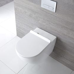 Abattant WC Duroplast Otterton Déclipsable Avec Frein de Chute