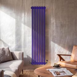 Hudson Reed Windsor - Radiateur vertical traditionnel à double colonne - Choix de couleurs et dimensions personnalisées originales