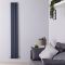 Hudson Reed Vitality - Radiateur design en aluminium vertical – Anthracite – 180 cm x 35 cm – Double rang