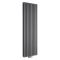 Hudson Reed Vitality - Radiateur design en aluminium vertical – Anthracite – Choix de largeur – Double rang - Raccordement central