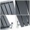 Radiateur design horizontal  – Anthracite – Colonnes plates - Choix de tailles - Sloane